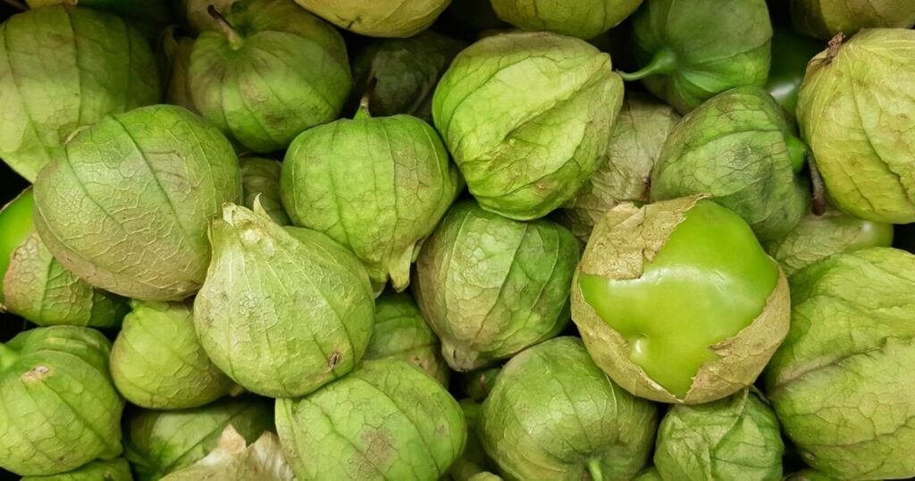 what tomatillos look like